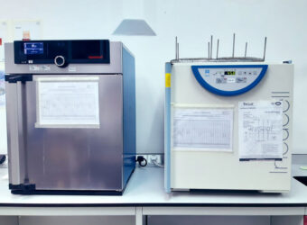 Incubator